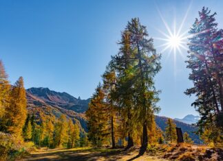 Ile powtórzeń na masę?