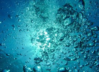 Jaką kamerę kupić do nurkowania?