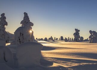 Jak ćwiczyć z obciążeniem w domu?