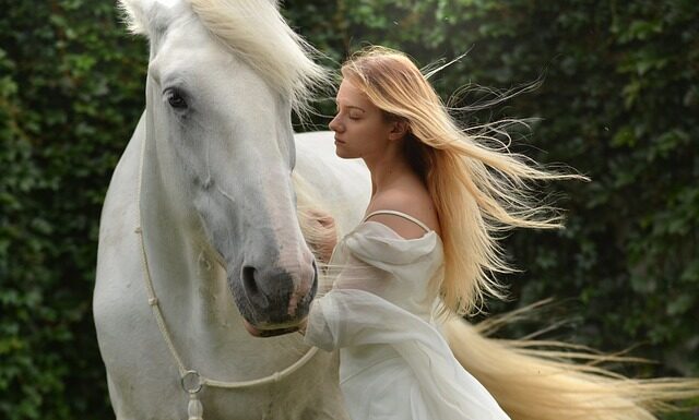 Jak nazywa się koń w łaty?