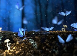 Co zabija grzyby na skórze?