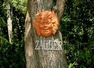 Czy spirytus zabija grzybicę paznokci?