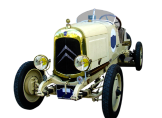 Czy witamina B12 ma wpływ na stawy?